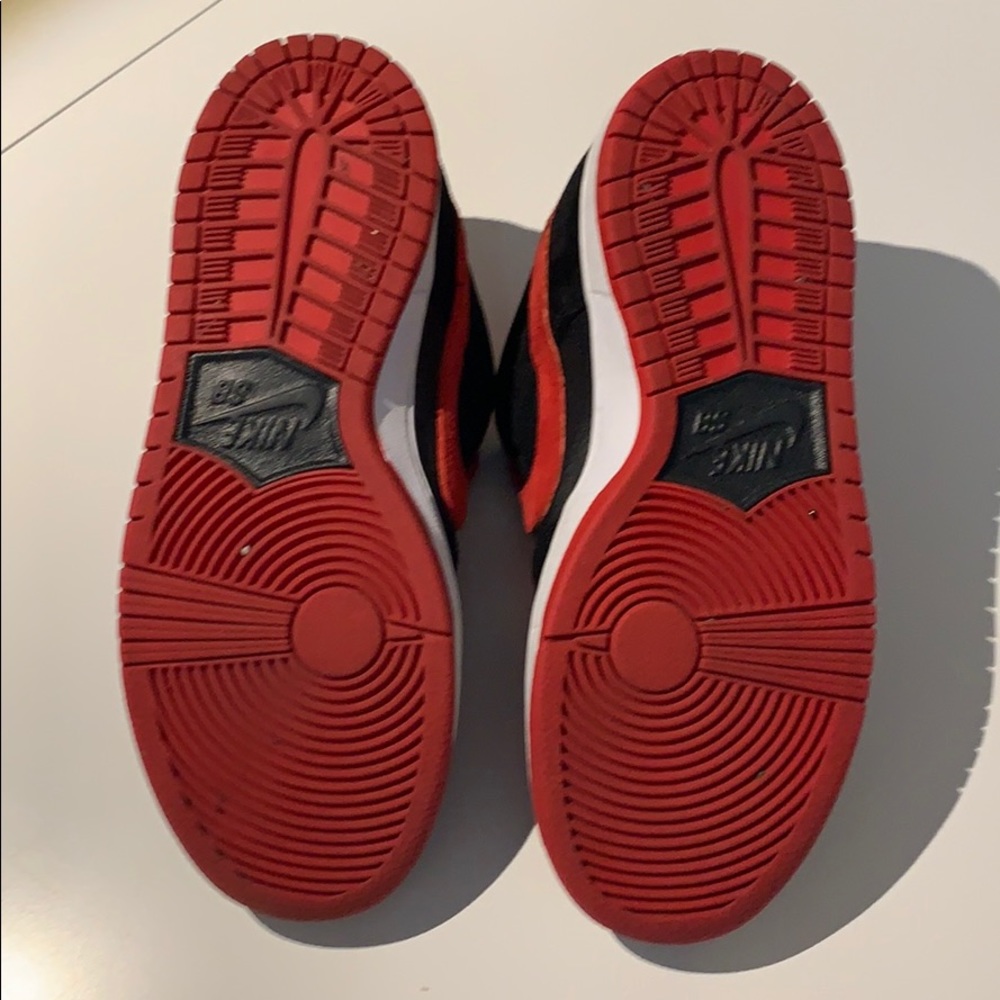 Nike Dunk Low Pro Rare J Pack Gem